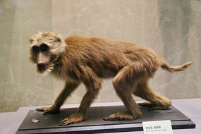 �걾��β��