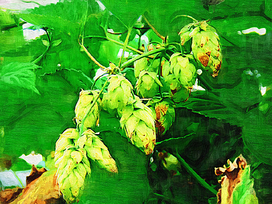 �����ͻ���ơ�ƻ���