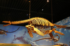 ����������ʯ