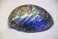 �����౫��