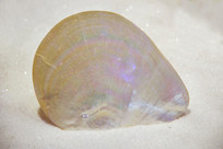 ����������������