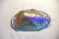 ������������˸�