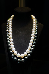 �ڰ���������