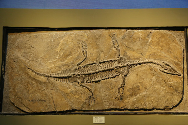 ������ʯ