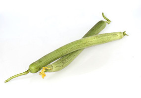 ����˿��