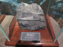 ��Ͽ�����չƷ����