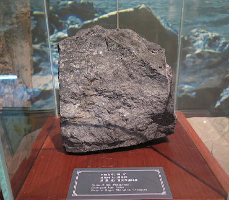 ��Ͽ�����չƷ�׿�