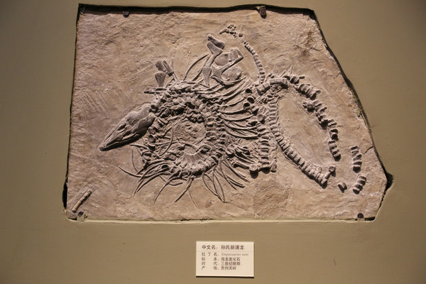 ������������ʯ