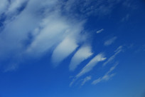 �����Ͱ���