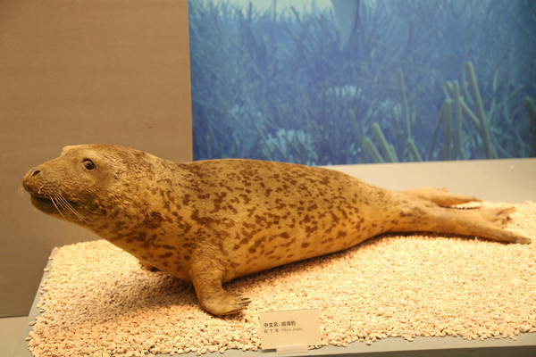 �ߺ����걾