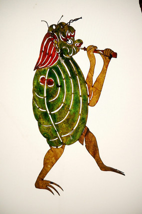 ŵڹ