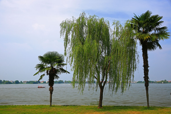 ���ϴ���