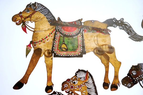 ��˶����¿ƤӰ