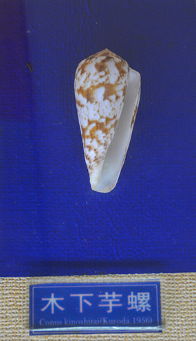 ľ�����ݱ걾