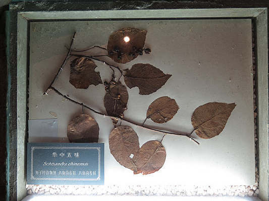 �˽������