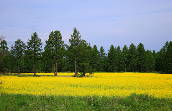 �˻�����