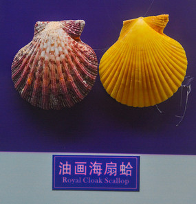 �ͻ����ȸ�걾