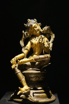 13�����̶�ĸ��