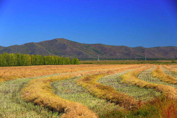 �Ͳ�����