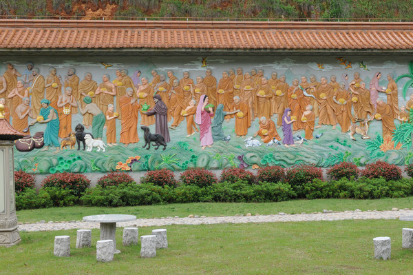 ���ж���ǽ��