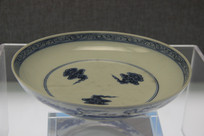 �������¿��໨��������