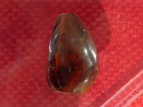 ���������̺�