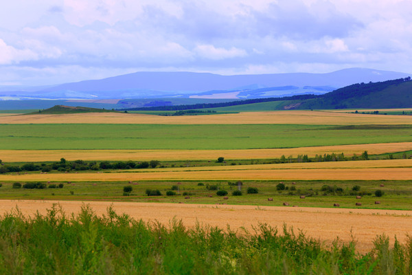 ��԰����