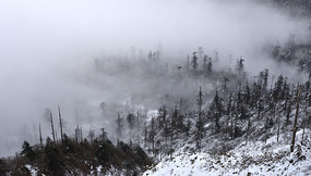 �����е��ֺ�ѩԭ