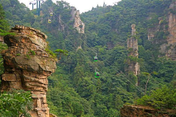 �żҽ������