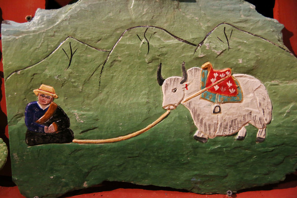 ��������