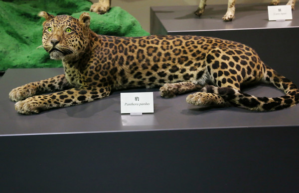 ����걾����