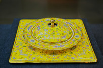 ������Բ�֦�����Ƹ���