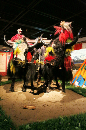 ������ţ��