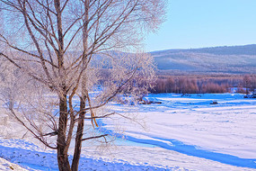 ����ĺ�����ڡ