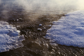 ��������ѩ��