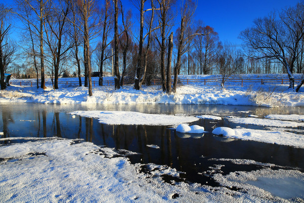 ��ѩ����