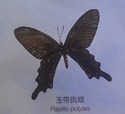 �����걾������