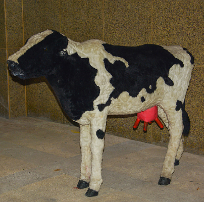 ��ţ����