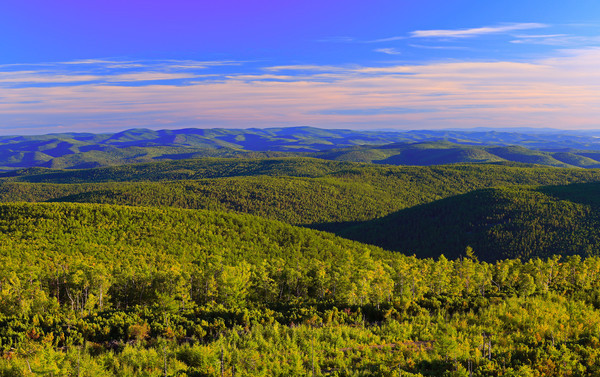 ���˰����ֺ�����