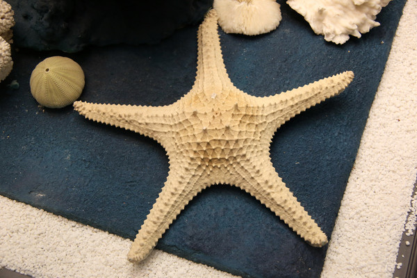 �������ﺣ��