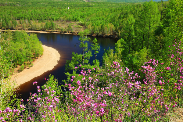 ����ɭ�ֶž�