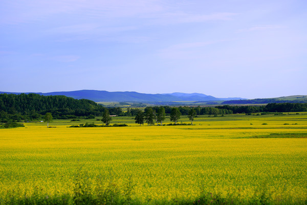 ��ɫ���Ͳ˻�