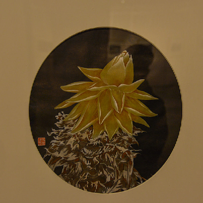 �滭��Ʒ������