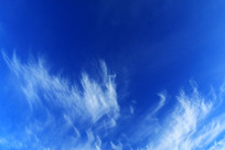 ������Ʒ羰