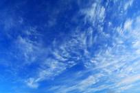 ������ƾ���