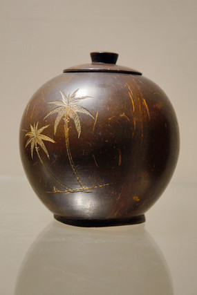 ���ʱ�ڵ�Ҭ�����