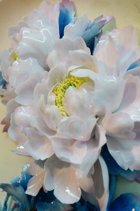 ��ɫ�ɵ�ĵ��