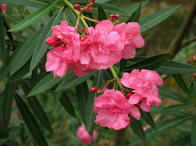 �컨������