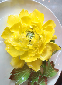 ��ɫĵ����