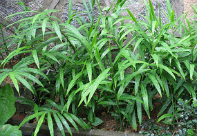 ������������